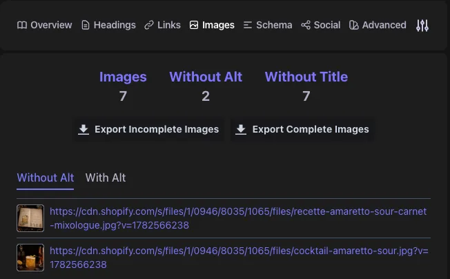 Detailed seo attribut alt